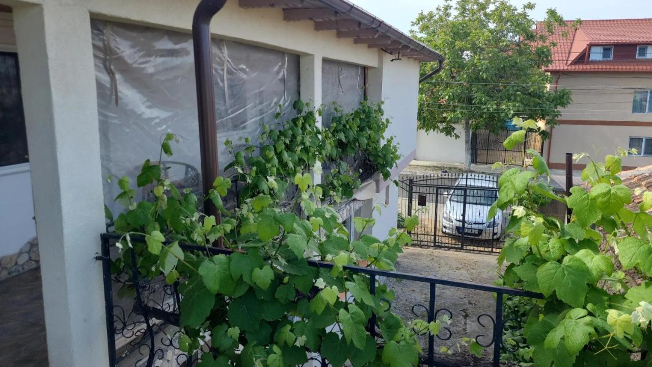 Casa Iacob Otel Două Mai Dış mekan fotoğraf
